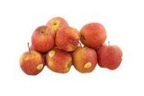 vomar royal gala appels