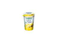 soumlbbeke yoghurt op vrucht vanille citroen