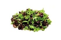 mesclun