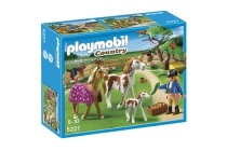 playmobil 5227