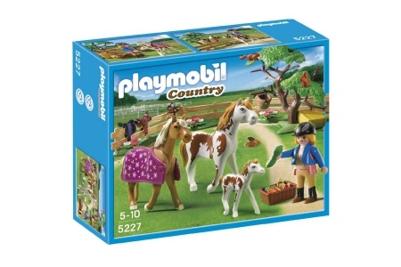 playmobil 5227