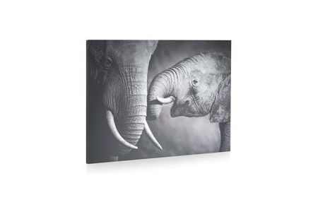 schilderij elephant and baby