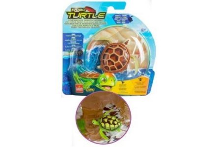 robo turtle
