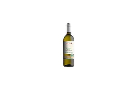 purato catarratto pinot grigio