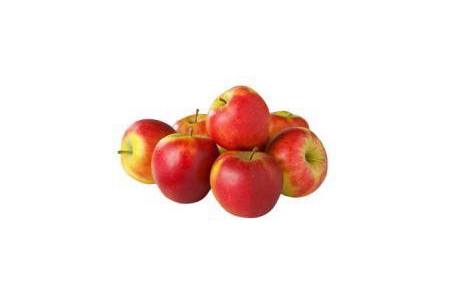 plus elstar appels tas 1 5 kg