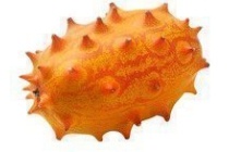 ah kiwano