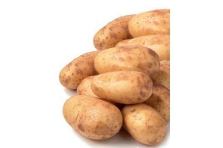 horeca select super aardappelen