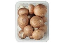 kastanjechampignons