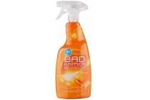 ah badkamerreiniger spray