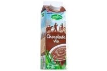 campina vla chocolade