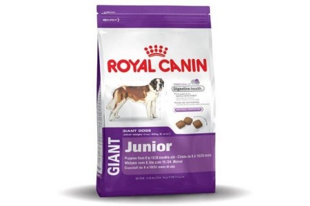 royal canin giant junior