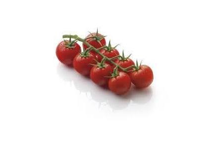 aromio troscocktailtomaten