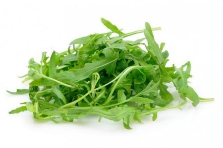 rucola sla