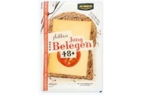 jumbo kaas plakken jong belegen 48 voordeelpak 400g