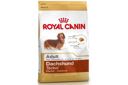 royal canin dachshund adult