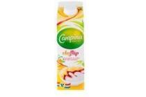 campina dubbel vlaflip