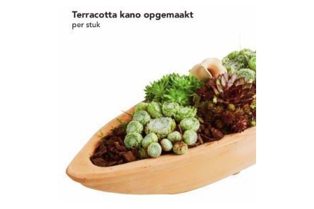 terracotta kano opgemaakt