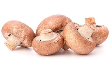 plus kastanjechampignons