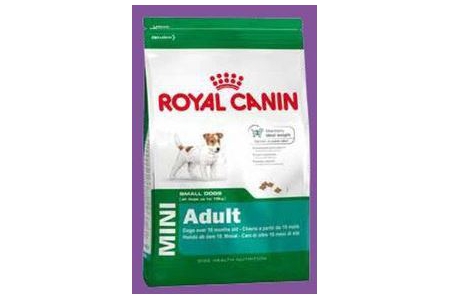 royal canin shn mini adult