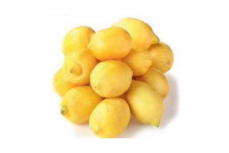 horeca select citroenen