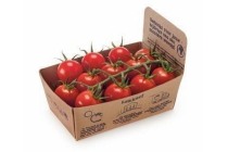 fairtrade cherry tomaatjes