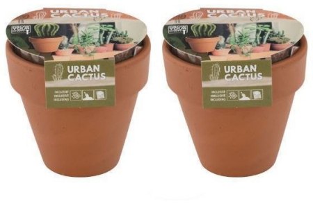 urban cactus kweekset