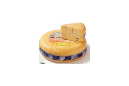 bleu de wolvega