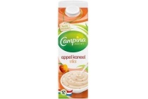 campina appel kaneel vla