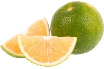 satsuma mandarijnen