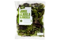 coop jonge bladsla met rucola