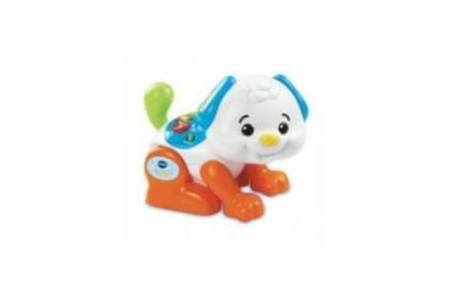 vtech zing en speel puppy