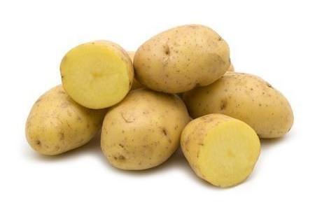 versuniek nicola aardappels