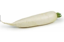 rettich daikon