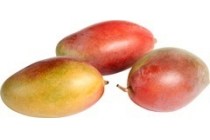 mango kent