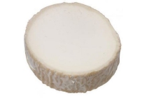 geitenkaas camembert