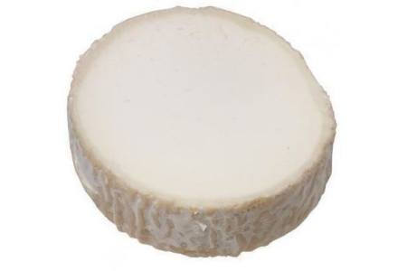 geitenkaas camembert