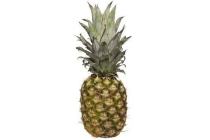 ananas