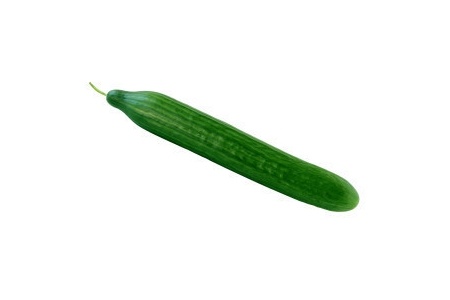 biologische komkommer