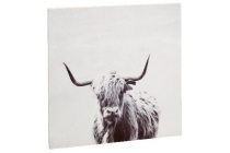 wanddecoratie buffel