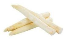 witte asperges