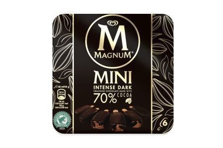 magnum mini intense dark