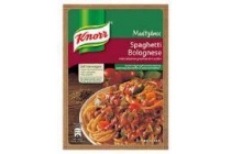 knorr spaghetti bolognese