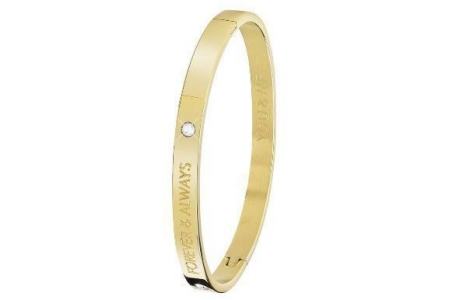 guess stalen armband bangle goldplated forever