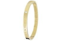 guess stalen armband bangle goldplated believe