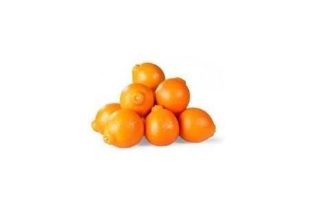 minneola s