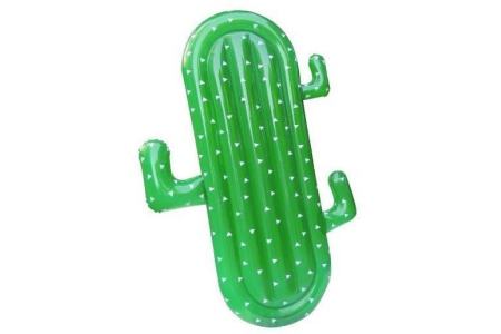 luchtbed cactus
