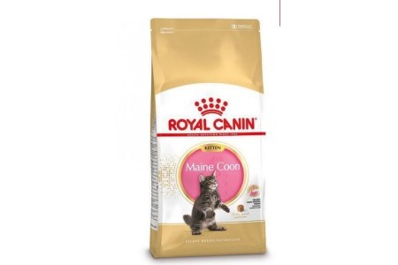 royal canin fbn kitten maine coon