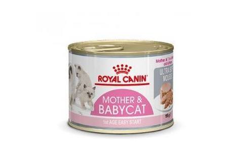 royal canin fhn babycat instinctive