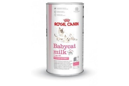 royal canin babycat milk