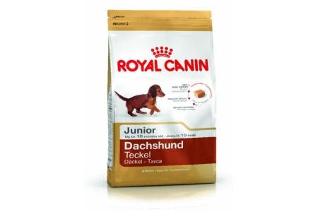 royal canin bhn dachshund junior
